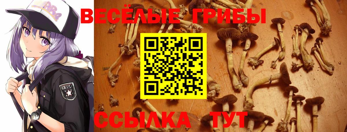 даркнет сайт  Галлюциногенные грибы GOLDEN TEACHER  Вход с VPN  Галлюциногенные грибы мухоморы  Спасск-Дальний 